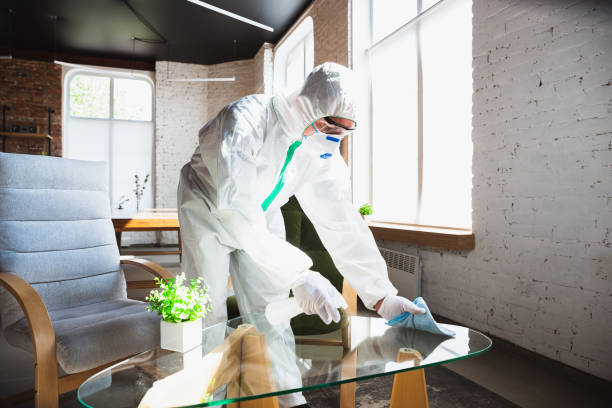  , USA Mold Removal Services Pros